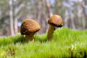 世界游艇青年赛赛事志愿者文化成果纳入中学航海课程试点推广，世航游艇会