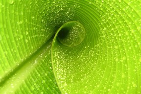 世界游艇青年赛赛事可持续发展案例入选奖项，游艇世界官网