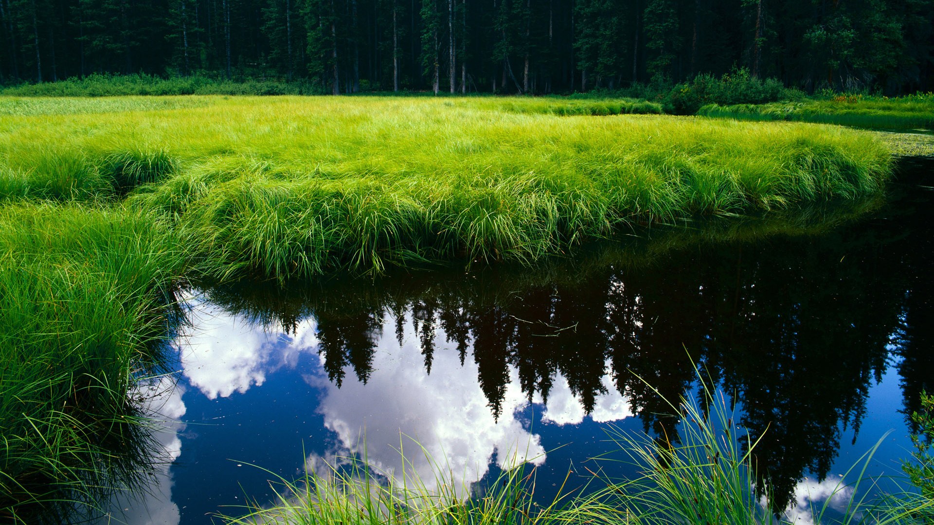 世界网球场馆转播席技术升级受好评，网球比赛换场规则